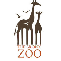 bronx zoo